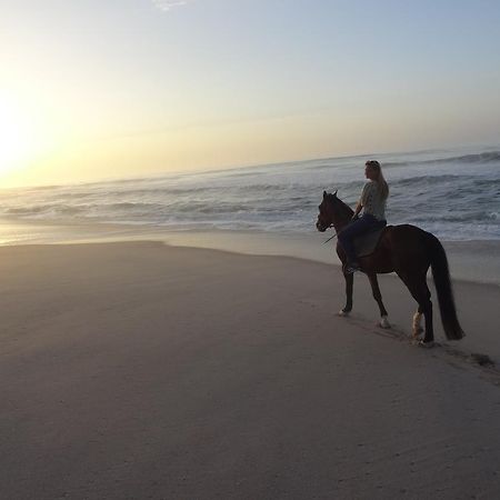 Отель Dakhla Evasion Экстерьер фото