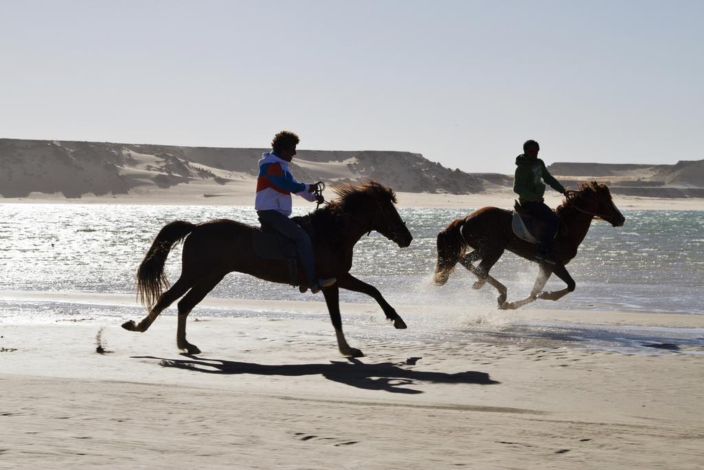 Отель Dakhla Evasion Экстерьер фото